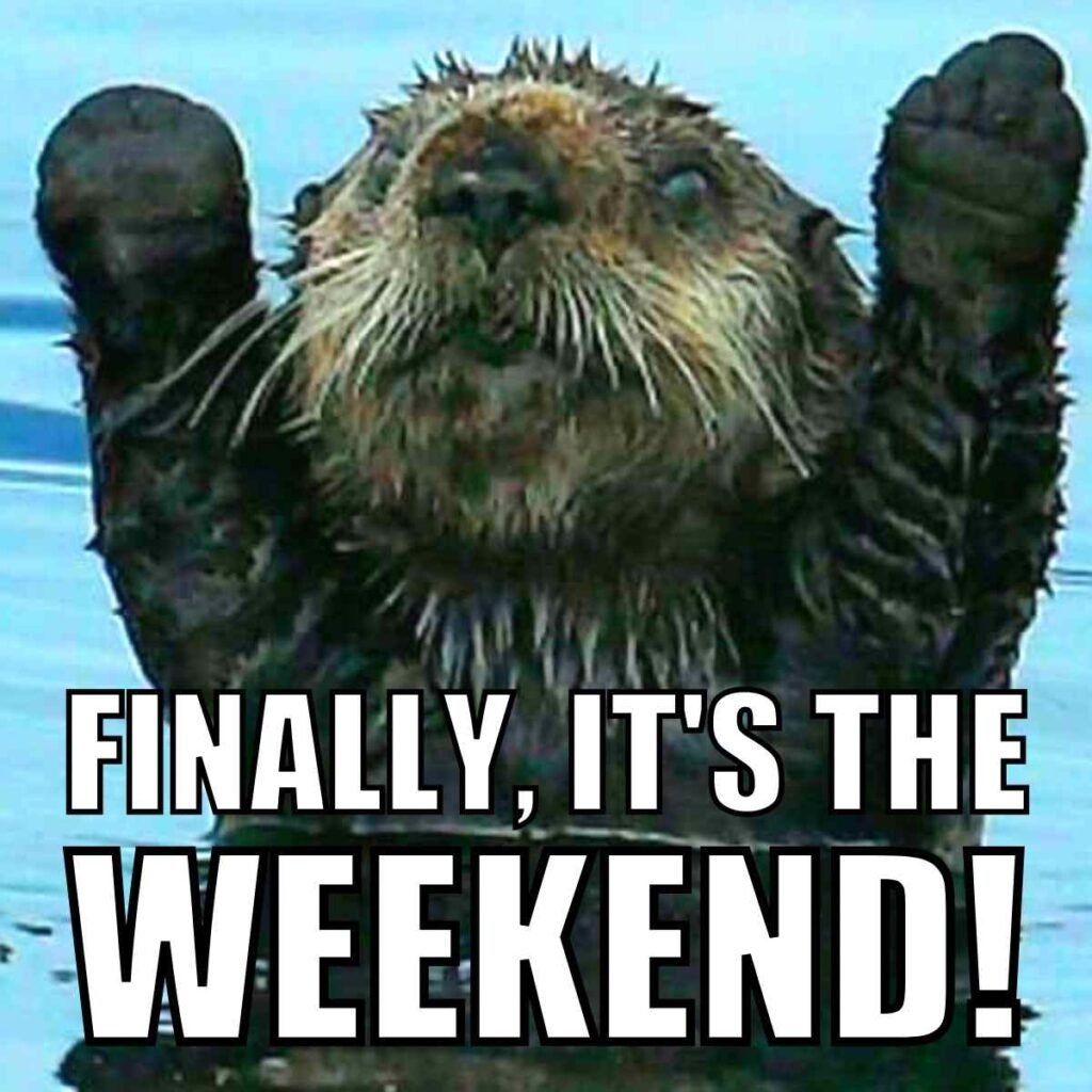 its-the-weekend-meme-funny good morning friday memes
