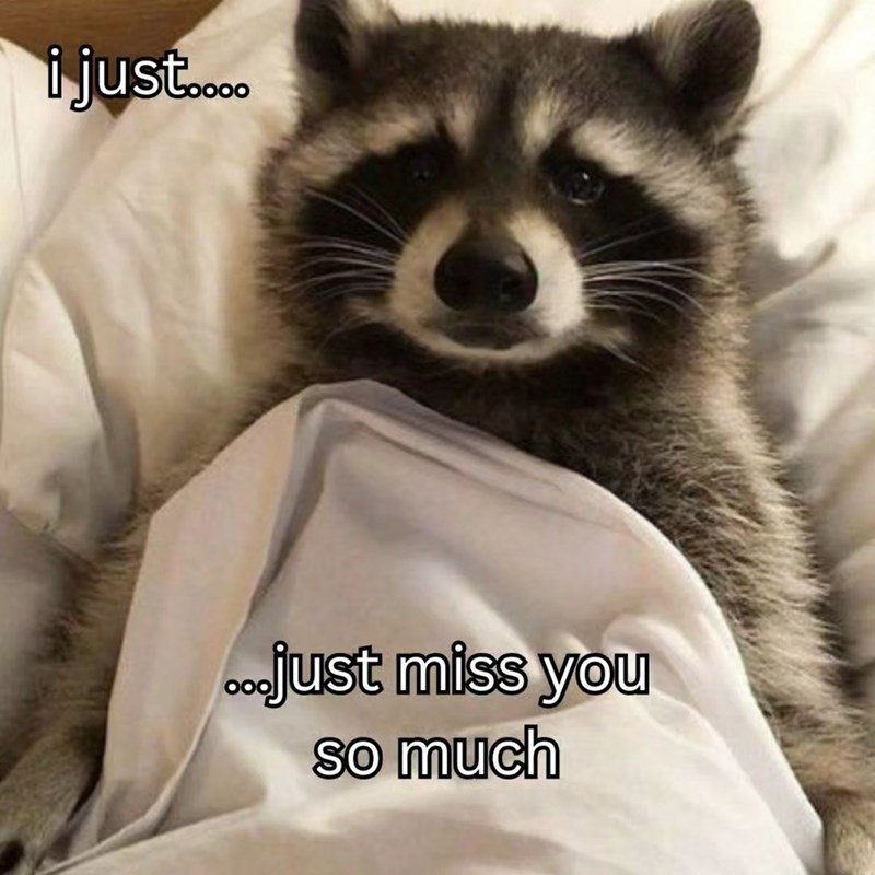 just-just-miss-so-much Monday Memes
