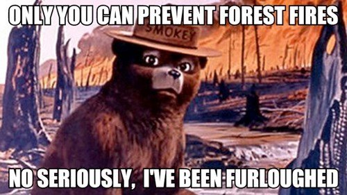 meanwhile-at-the-wildlife-refuge