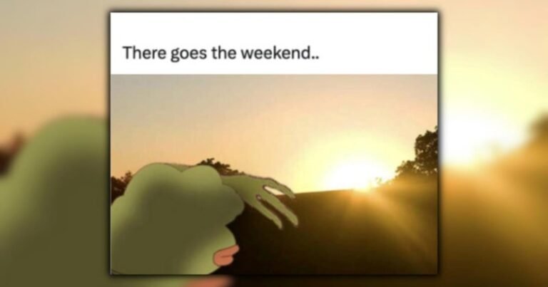 65+ Funny Sunday Memes That Perfectly Describe Your Weekend Mood