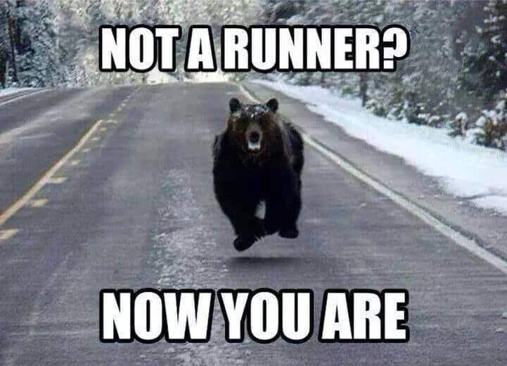 Thursday Memes