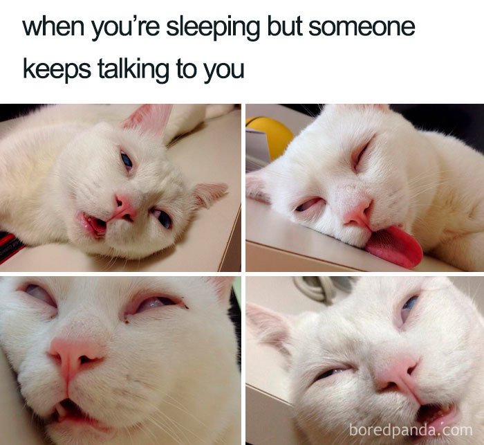 meme7-5d25b6acf0103__700 Happy Monday Memes
