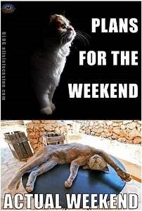 memes-poster-plans-for-the-weekend-actual-weekend-biog-allsiolseasinacom