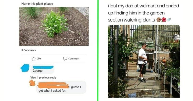 memes-sprout-weeds-flowers-green-thumb-gardening-memes-showers-planting-plant-beds-warm-25998597