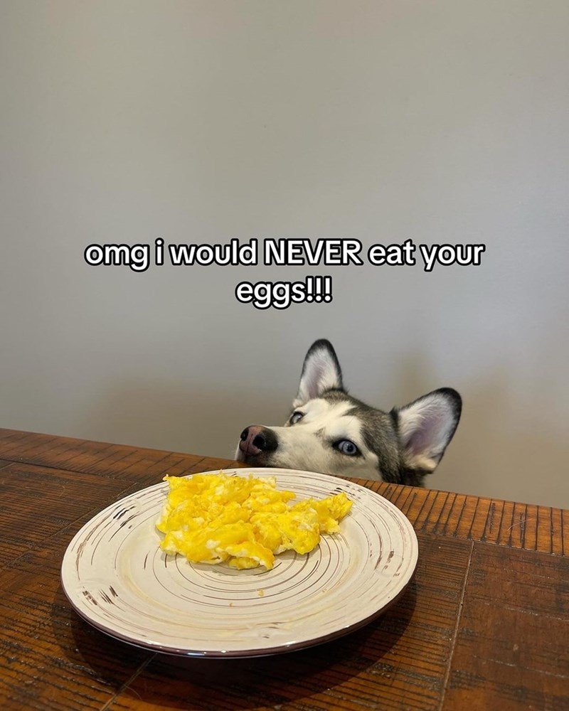 omg-would-never-eat-eggs happy sunday memes