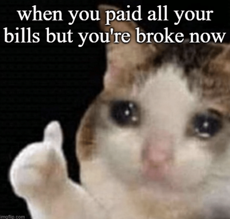 crying cat memes