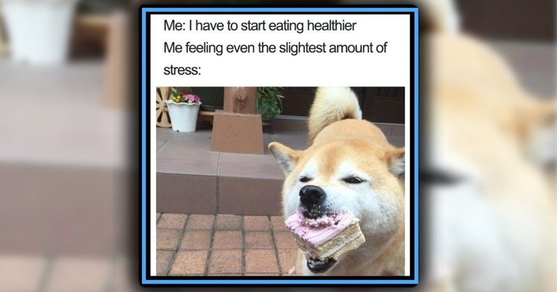 piece-of-cake-me-i-have-to-start-eating-healthier-me-feeling-even-the-slightest-amount-of-stress