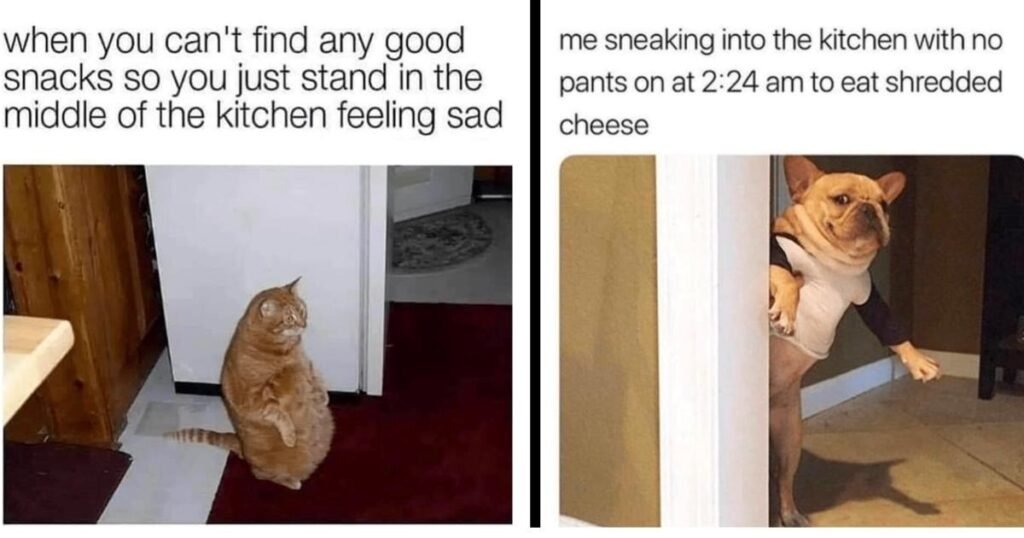 relatable-memes-for-the-olympic-snackers-who-deserve-a-gold-medal-in-little-sweet-treats Tuesday Morning Memes
