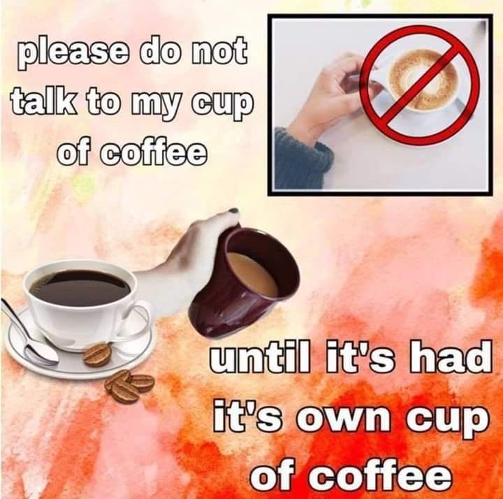 saucer-please-do-not-talk-my-cup-coffee-until-s-had-s-own-cup-coffee funny monday memes