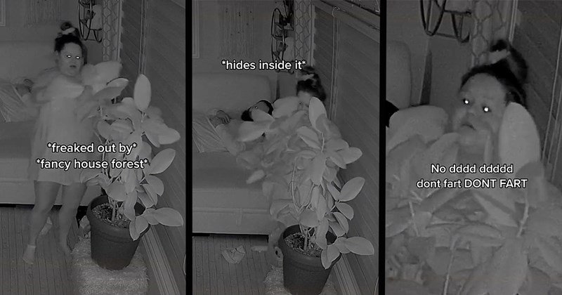 shares-the-most-hilarious-home-security-footage-of-her-unconscious-nighttime-shenanigans Wednesday Morning Memes
