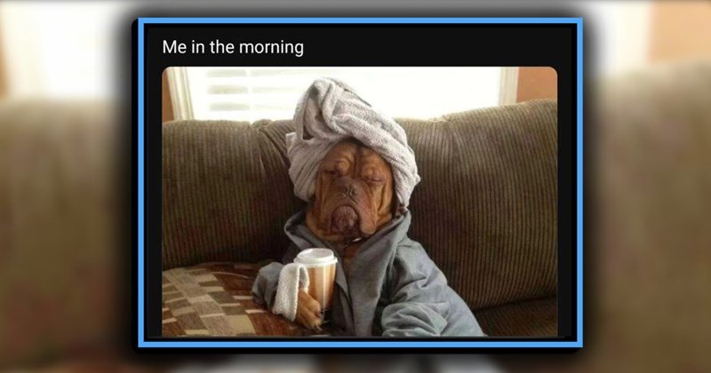 sitting-asleep-on-the-couch-in-a-head-towel-bathrobe-holding-a-takeaway-coffee-me-in-the-morning friday memes