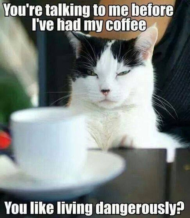 Office Memes