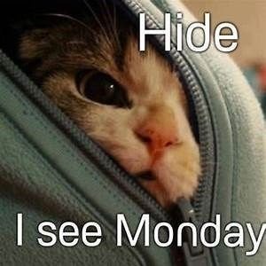 text Monday Memes