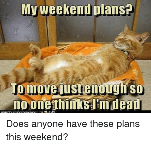 weekend-plans-tomove-justemough-so-mo-one-thinks-tmdead-does-anyone-have-these-plans-this-weekend 2 friday morning memes