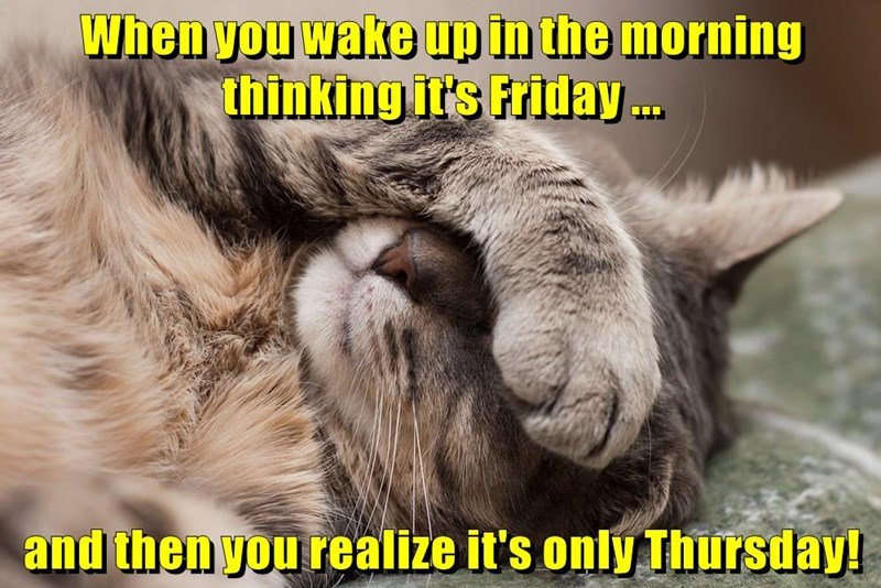when-you-wake-up-in-the-morning-thinking-its-friday-and-then-you-realize-its-only-thursday good morning friday memes
