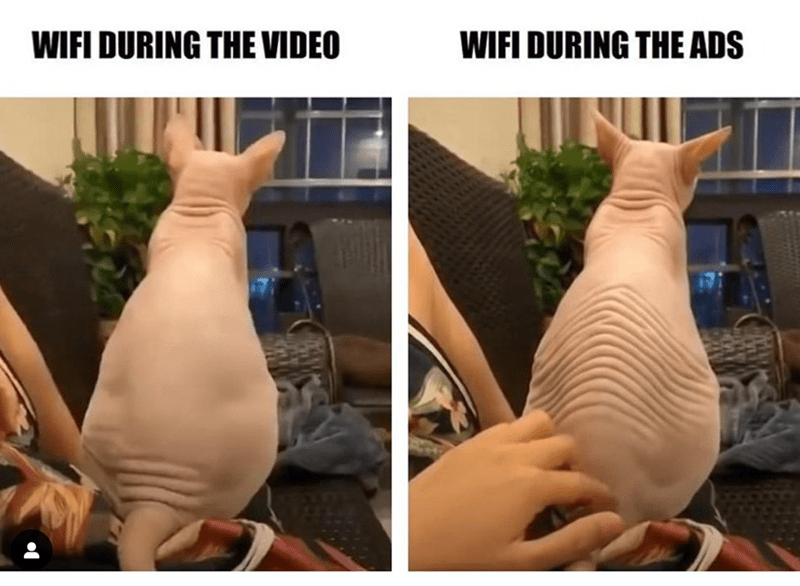 wifi-during-video-wifi-during-ads angry cat memes