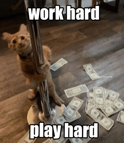 work-hard-play-hard friday morning memes