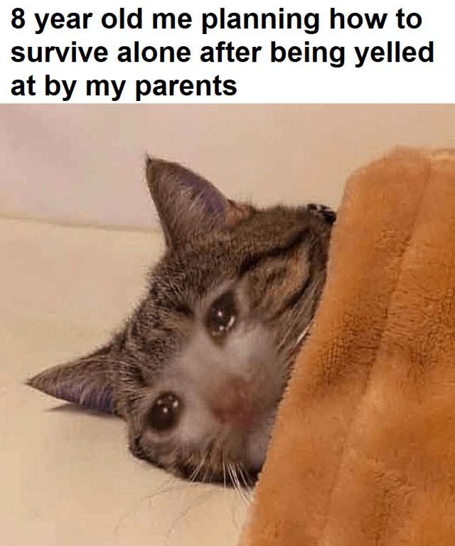 you-crying-cat-meme-8-year-old-me-planning-how-to-survive-alone-after-being-yelled-at-by-my-parents Hump Day Memes
