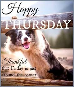 good morning thursday memes