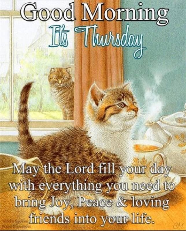 good morning thursday memes