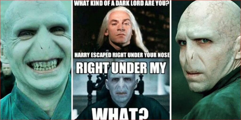 Harry Potter Memes