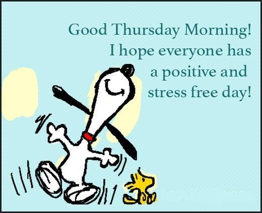 good morning thursday memes