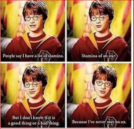 Harry Potter Memes