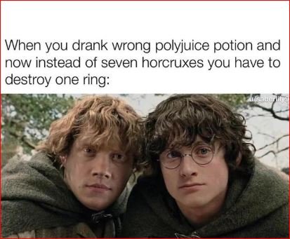 Harry Potter Memes