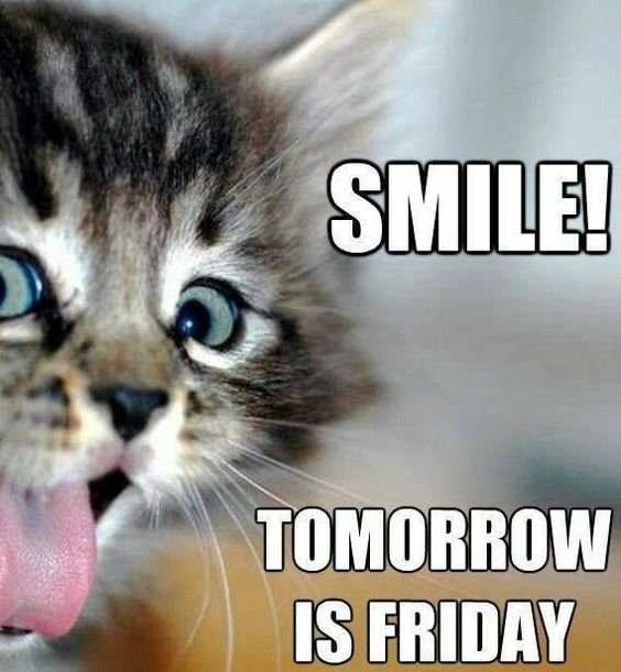 Good Morning Thursday Memes
