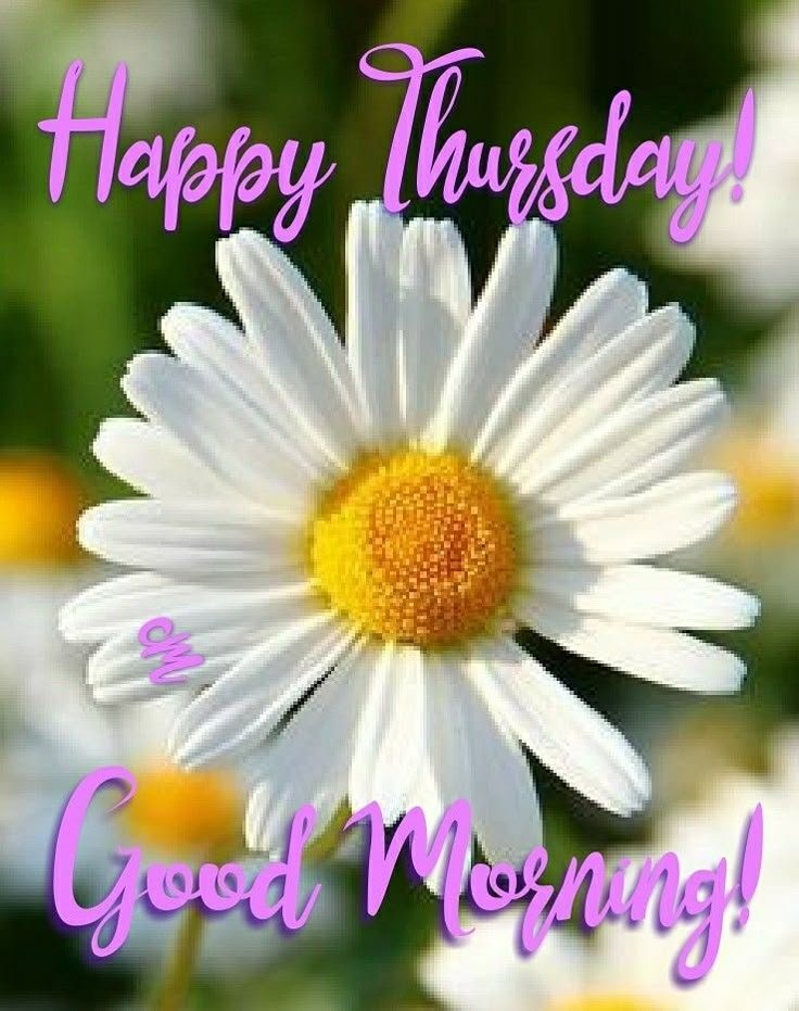 good morning thursday memes