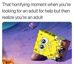 Adulting is Just Paying Bills Memes About Life