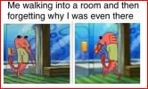 Dank Memes