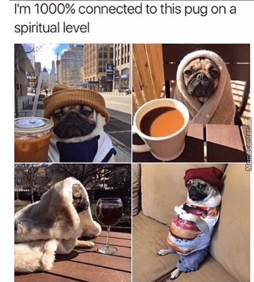 Funny Good Morning Memes