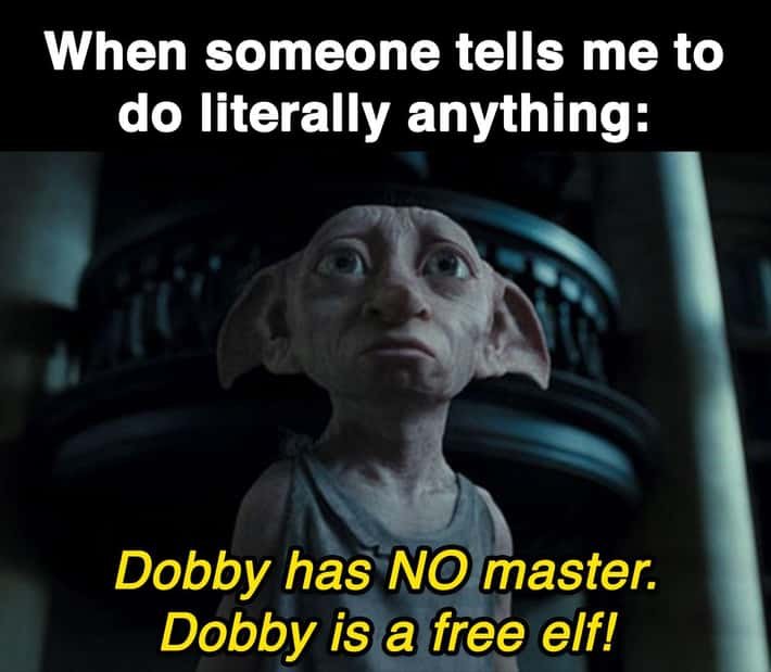 Harry Potter Memes