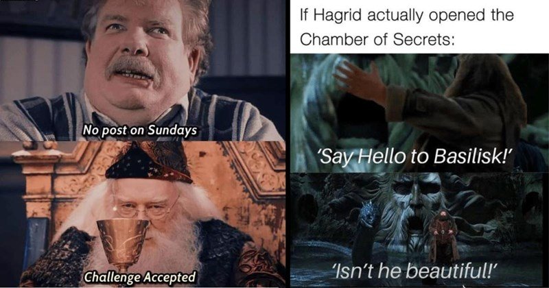 Harry Potter Memes