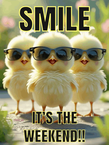 good morning thursday memes