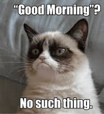Funny Good Morning Memes