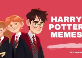Harry Potter Memes
