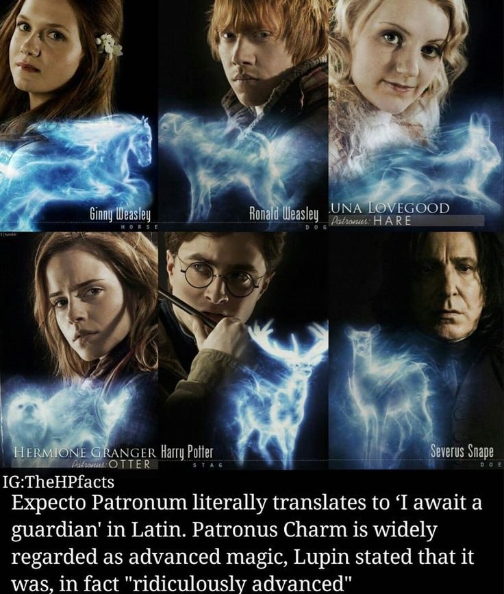 Harry Potter Memes