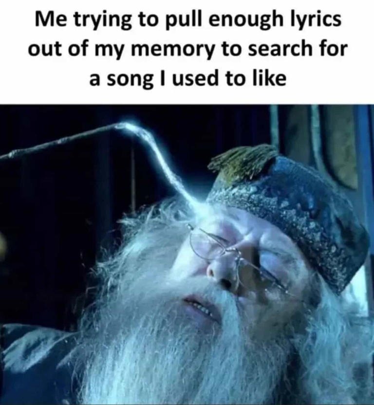 Harry Potter Memes
