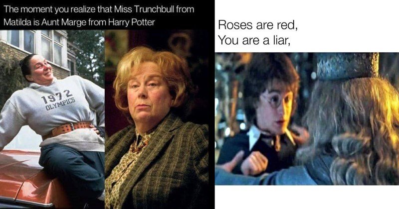 Harry Potter Memes