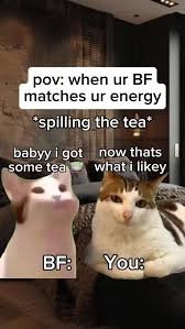 Funny Memes for Friends
