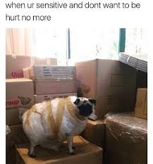 Dark Humor Memes
