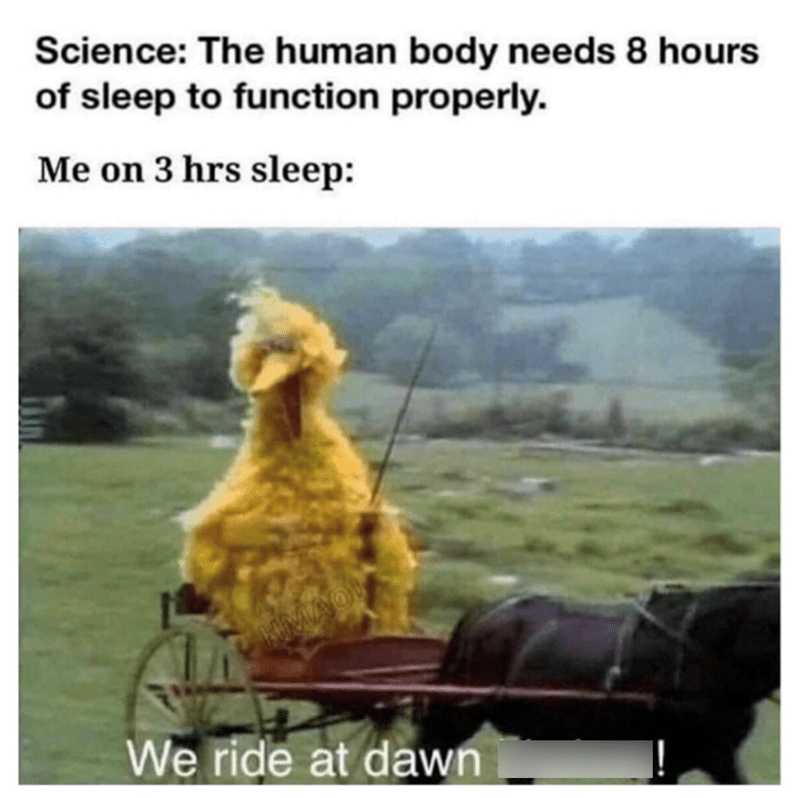 Sleep Deprived But Functioning Memes About Life