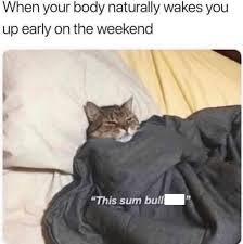 Funny Good Morning Memes