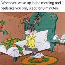 Funny Good Morning Memes