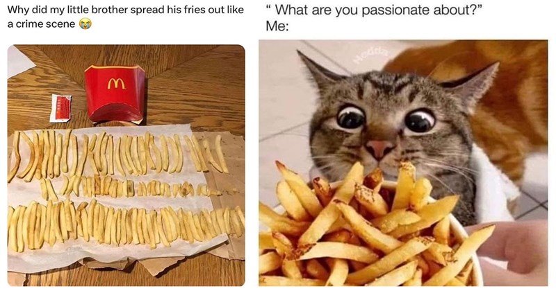 Funny Memes for Friends