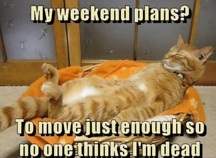 weekend-meme-648adfe012224__700 Labor Day Memes