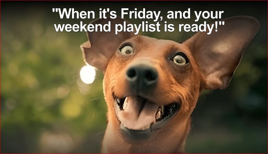 Friday Work Memes