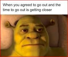 funny shrek memes